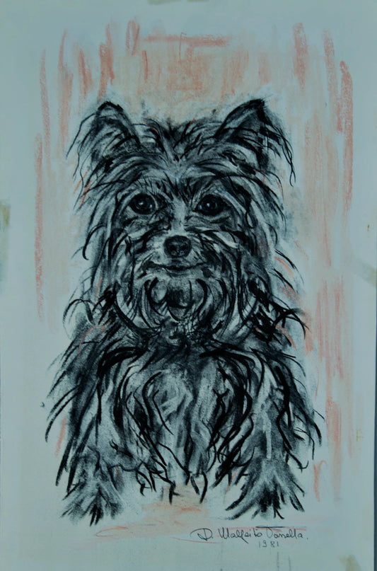 DOMÈNEC MALFEITO TANELLA | PORTRAIT OF YORKSHIRE TERRIER | EXPRESSIVE REALISM | MIXED TECHNIQUE (1981)