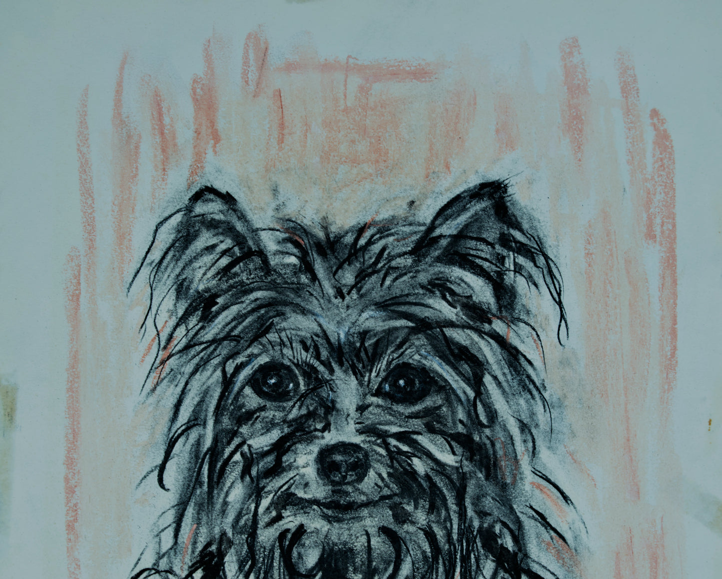 DOMÈNEC MALFEITO TANELLA | PORTRÄT EINES YORKSHIRE TERRIER | EXPRESSIV REALISMUS | GEMISCHTE TECHNIK (1981)