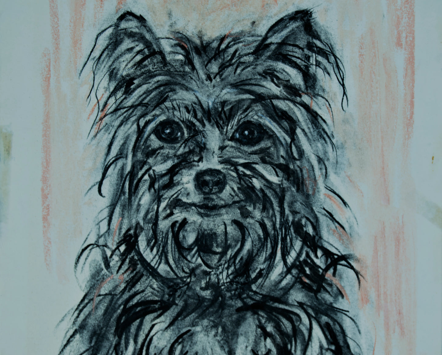 DOMÈNEC MALFEITO TANELLA | PORTRÄT EINES YORKSHIRE TERRIER | EXPRESSIV REALISMUS | GEMISCHTE TECHNIK (1981)