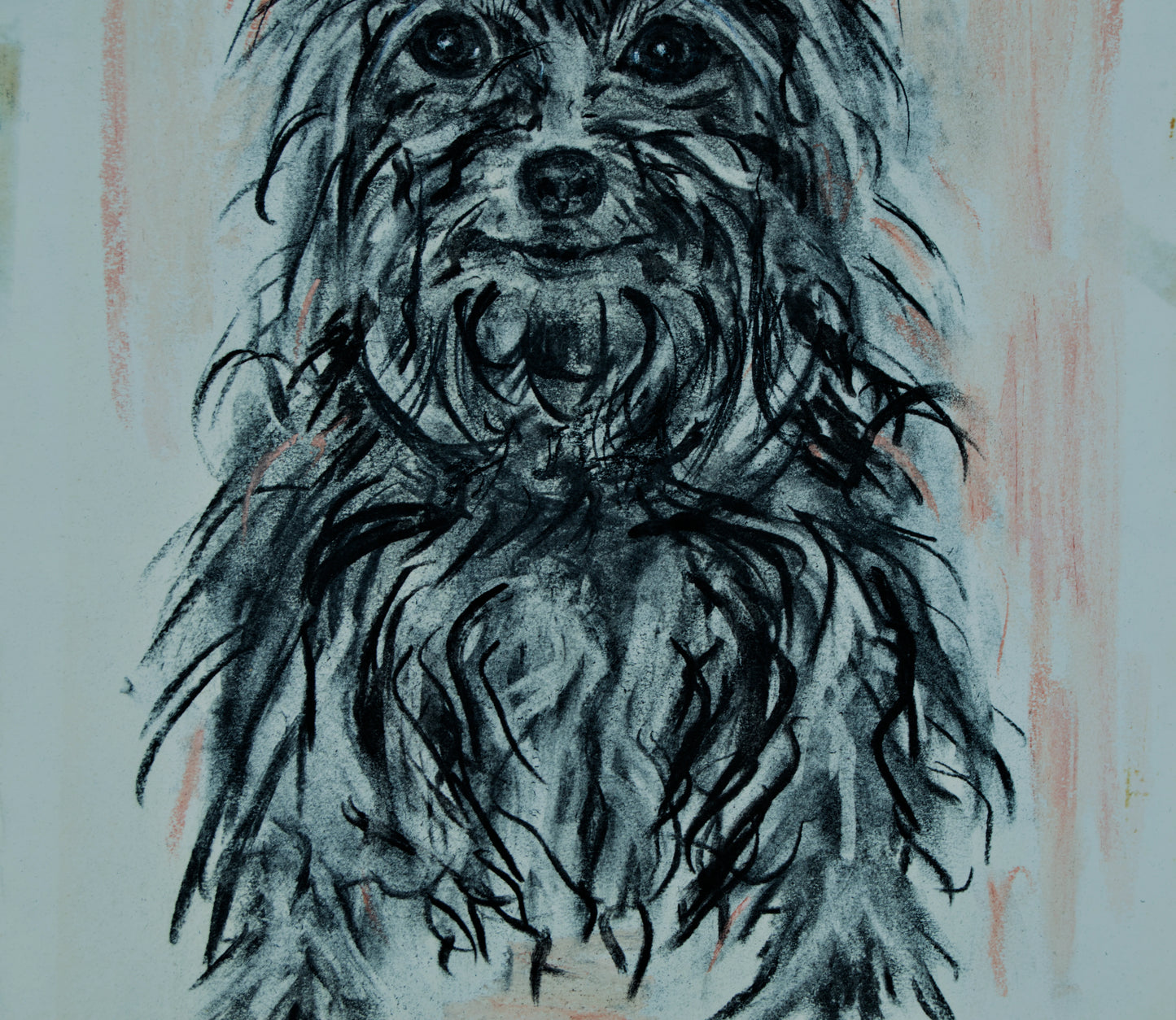 DOMÈNEC MALFEITO TANELLA | PORTRÄT EINES YORKSHIRE TERRIER | EXPRESSIV REALISMUS | GEMISCHTE TECHNIK (1981)