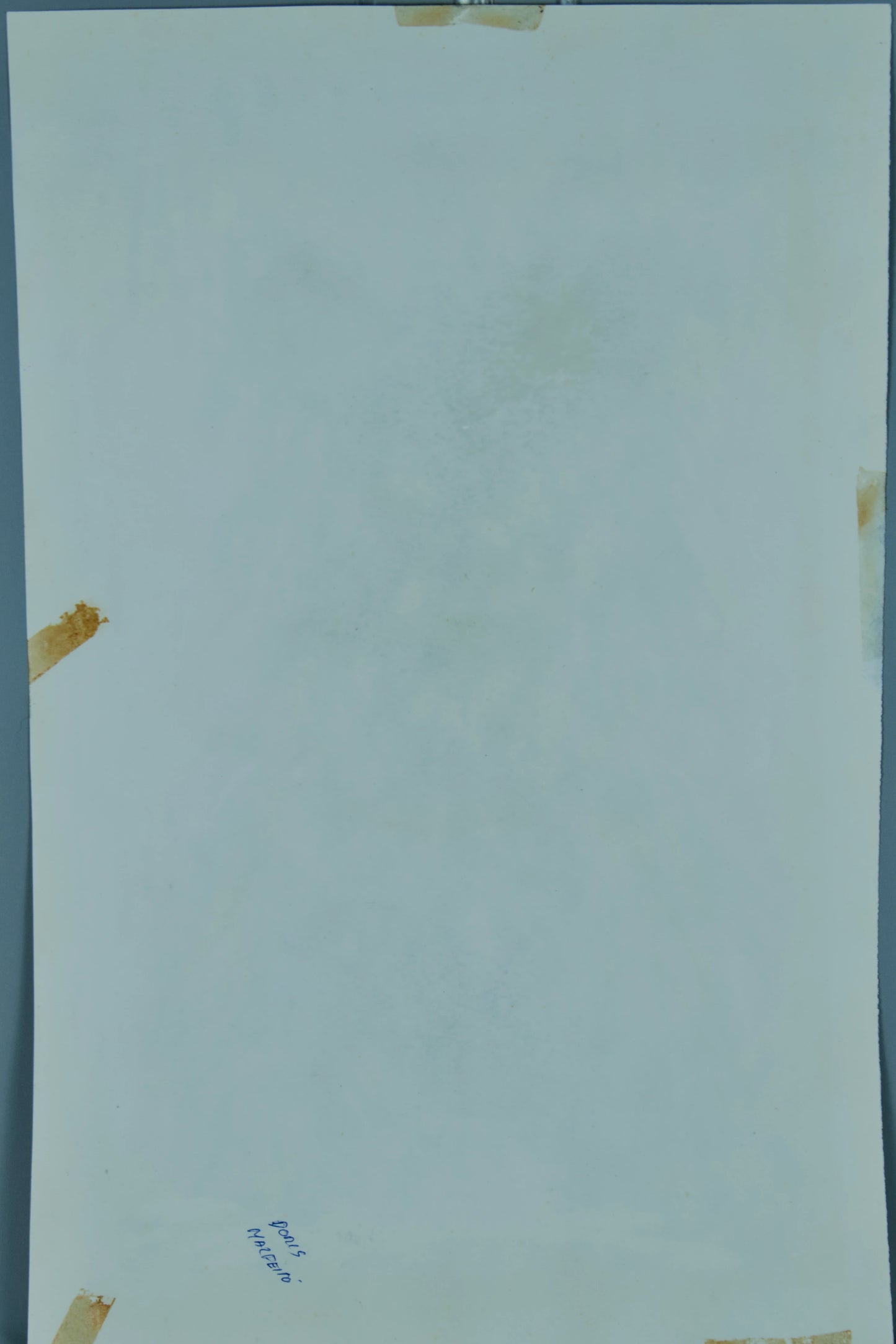 DOMÈNEC MALFEITO TANELLA | PORTRÄT EINES YORKSHIRE TERRIER | EXPRESSIV REALISMUS | GEMISCHTE TECHNIK (1981)