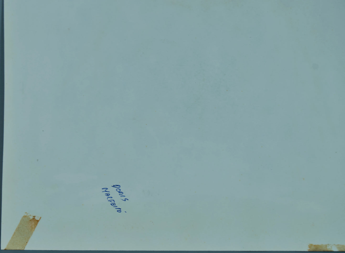 DOMÈNEC MALFEITO TANELLA | PORTRÄT EINES YORKSHIRE TERRIER | EXPRESSIV REALISMUS | GEMISCHTE TECHNIK (1981)