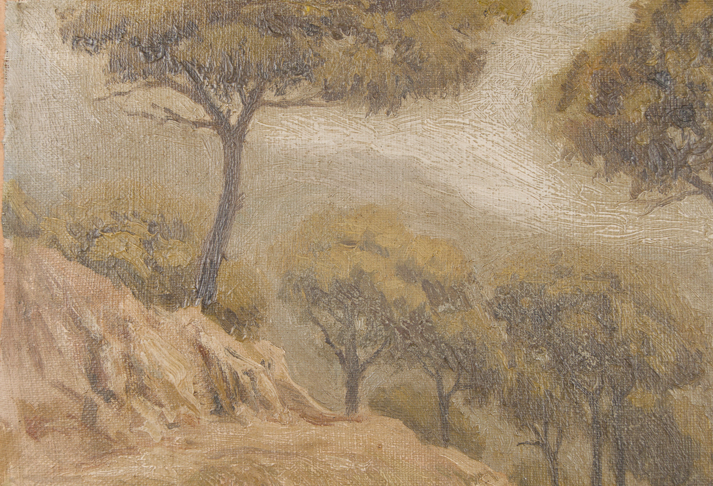 Francisco Payá Sanchís | Paisaje Mediterráneo con Pinos (1947) | Óleo Original