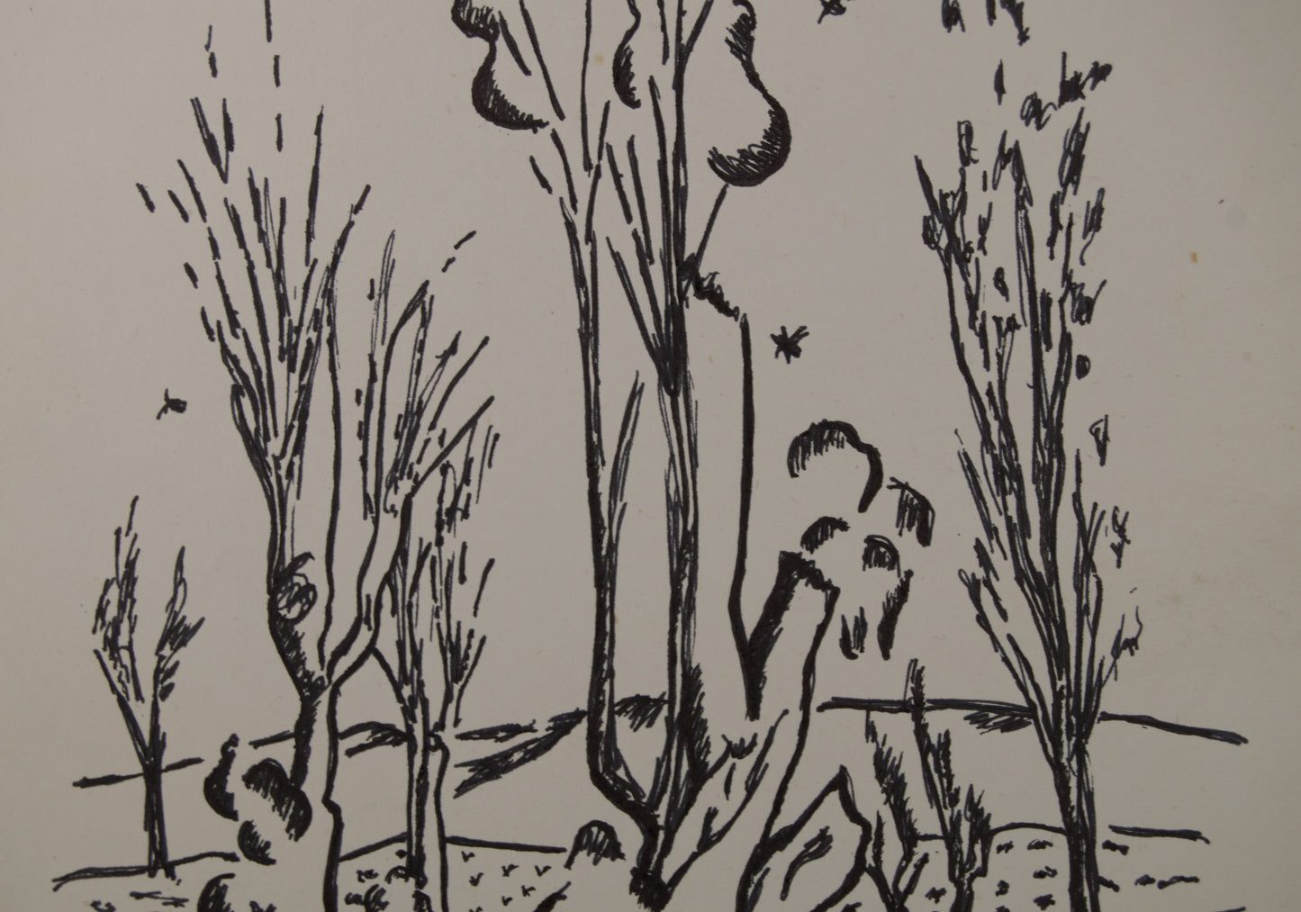 ANITA SOLÀ IMBERT | PAISAJE RURAL CON ÁRBOLES | DIBUJO ORIGINAL A TINTA | EXPRESIONISMO CATALÁN