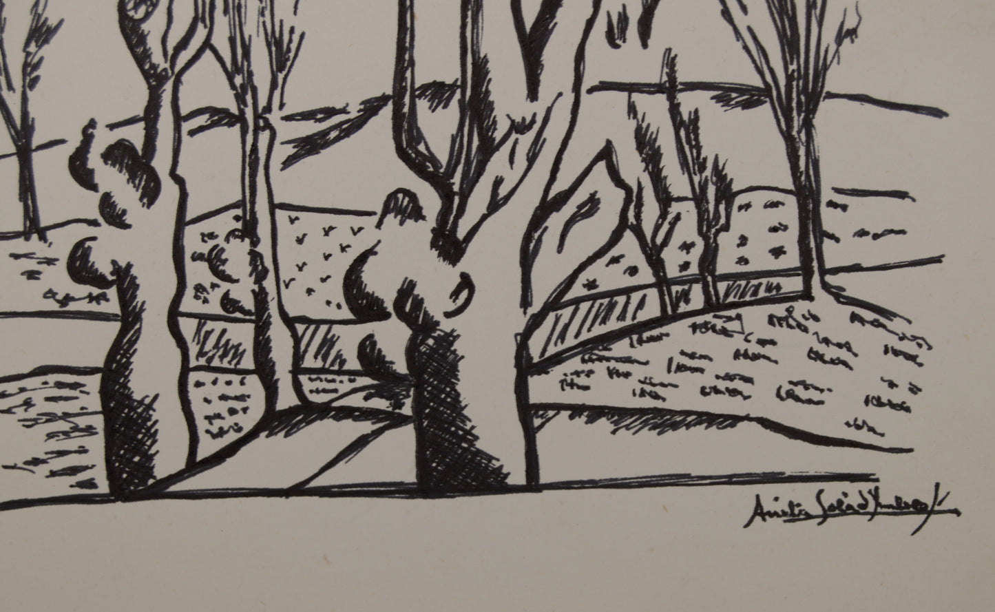 ANITA SOLÀ IMBERT | PAISAJE RURAL CON ÁRBOLES | DIBUJO ORIGINAL A TINTA | EXPRESIONISMO CATALÁN