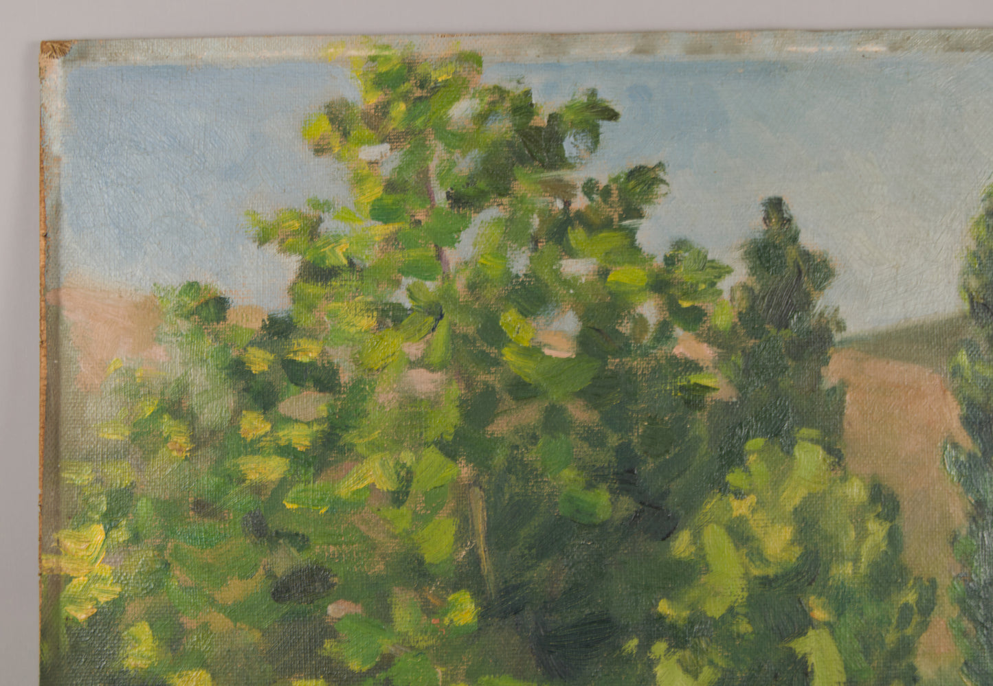 JOSEP COLOMER | LÄNDLICHE LANDSCHAFT MIT BAUERNHAUS UND BÄUMEN | SCHULE VON OLOT | ÖL AUF LEINWAND