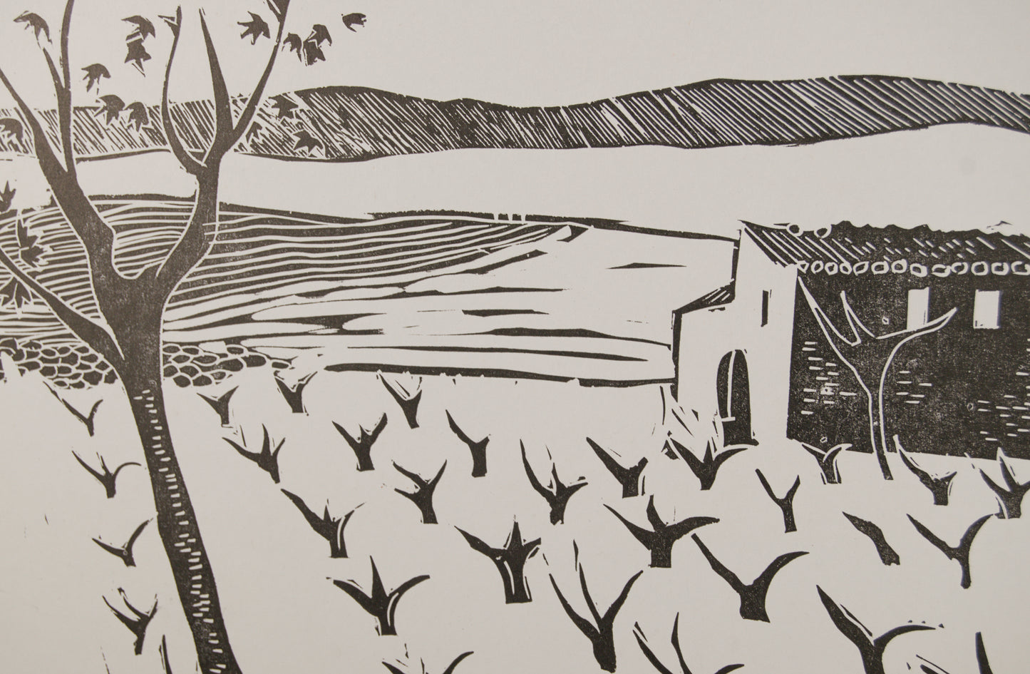 ANTONIO SANTOS | PAISAJE CON VIÑEDO Y MASÍA (6/49) | LINOGRABADO ORIGINAL | GRÁFICA CONTEMPORÁNEA