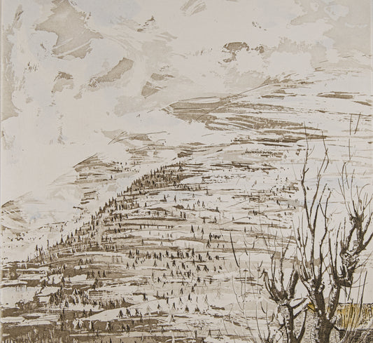 JORDI PAGANS MONTSALVATGE | PAISAJE DE MONTAÑA | MAESTRO DE LA VIBRACIÓN LÍRICA CATALANA | AGUAFUERTE ILUMINADO A MANO