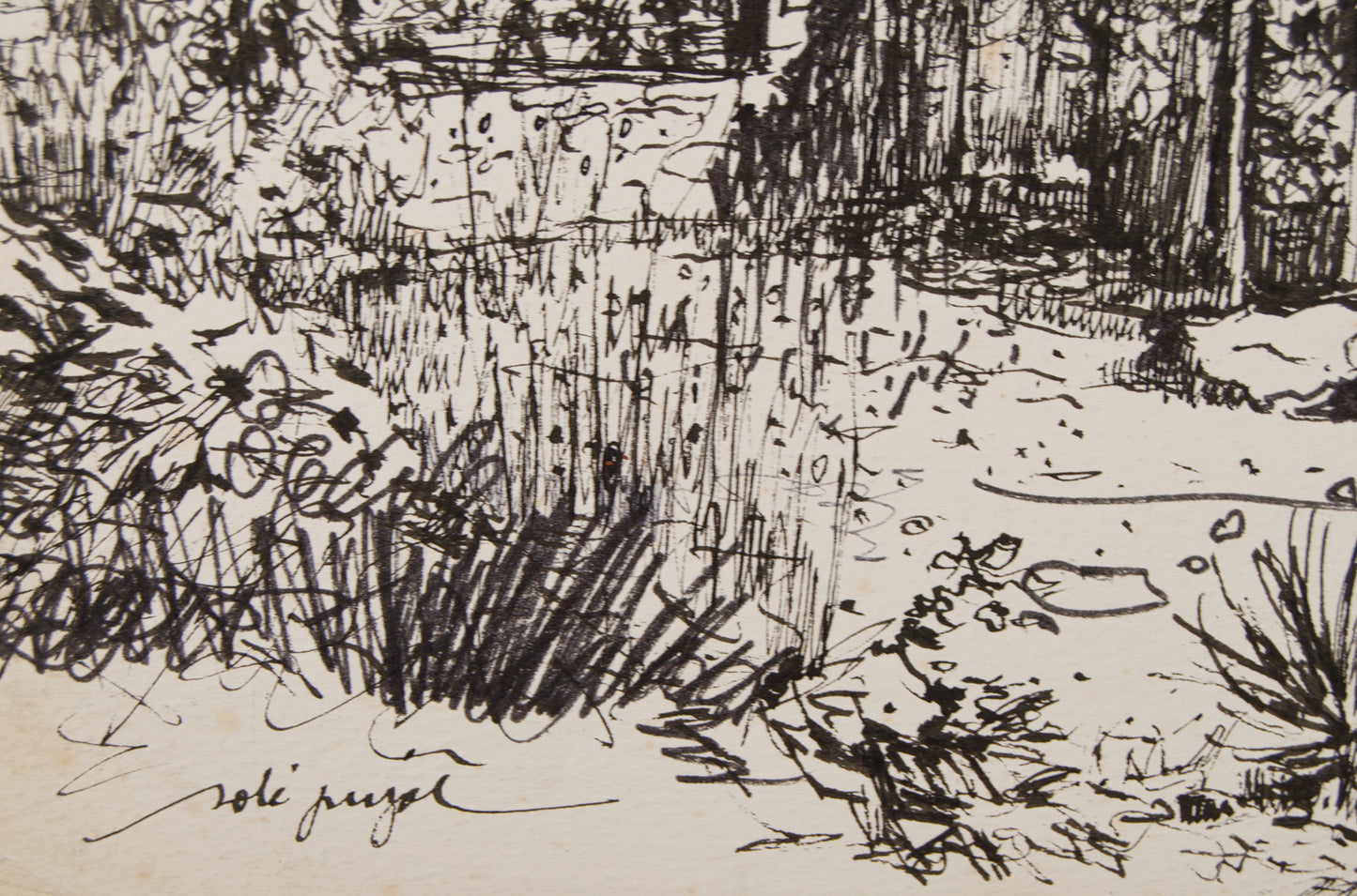 JOSEP SOLÉ PUJOL | MASÍA EN PALERA: ARQUITECTURA DEL TERRITORIO | PAISAJISMO CATALÁN | TINTA SOBRE PAPEL