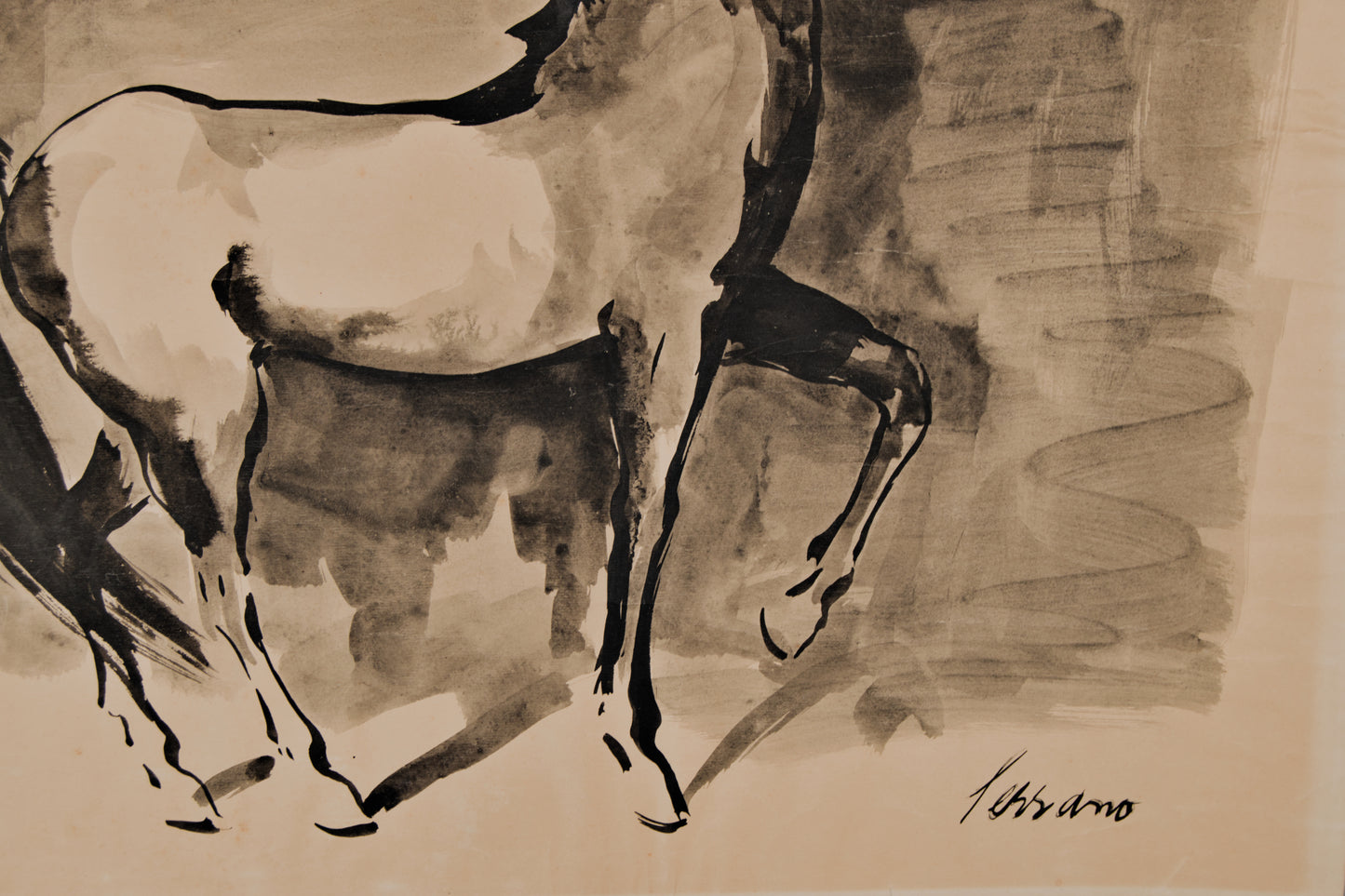 JOSÉ MIGUEL SERRANO | CABALLO EN "CORVETA" (ESTUDIO DE MOVIMIENTO) | ESCUELA DE PARÍS | CARBONCILLO SOBRE PAPEL