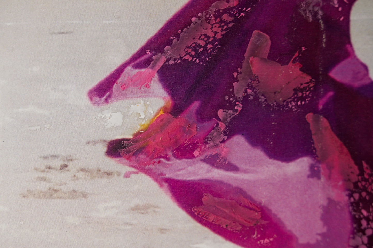 ANDRÉS NICOLAU | LANCE DE CAPOTE (ESCENA TAURINA) | FOTOGRAFÍA INTERVENIDA | ARTE CONTEMPORÁNEO